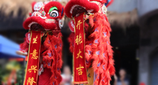 &#31859;&#20848;&#23448;&#26041;&#32593;&#39029;&#29256;&#45;&#31859;&#20848;&#40;&#20013;&#22269;&#41;